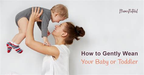 Weaning When And How To Gently Wean Your Child Mama Natural