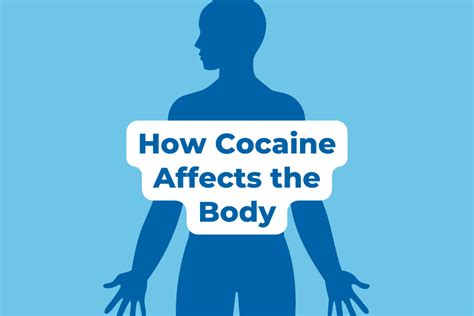 What Does Cocaine Do To Your Body Beach House