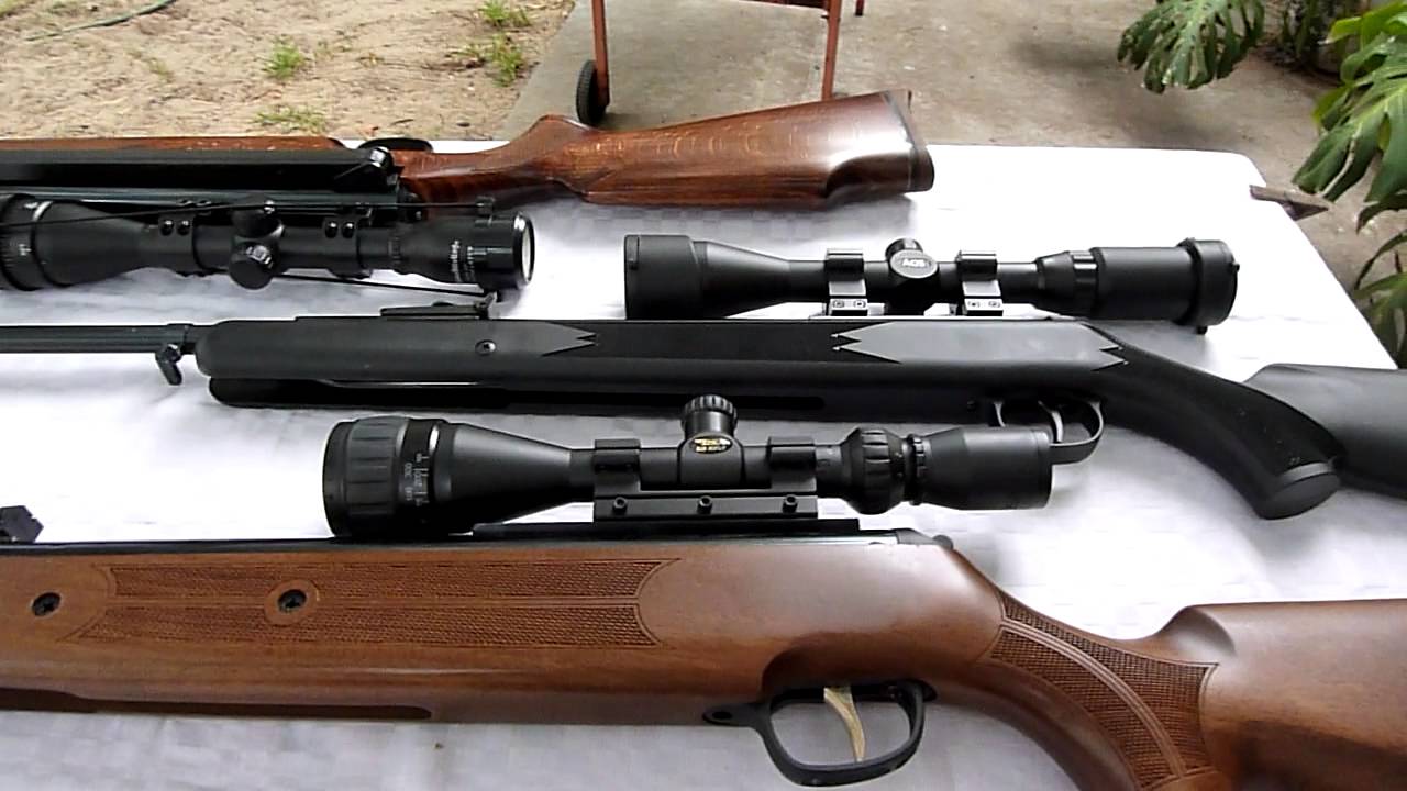 Which Is Most Powerful Air Rifle In India Youtube